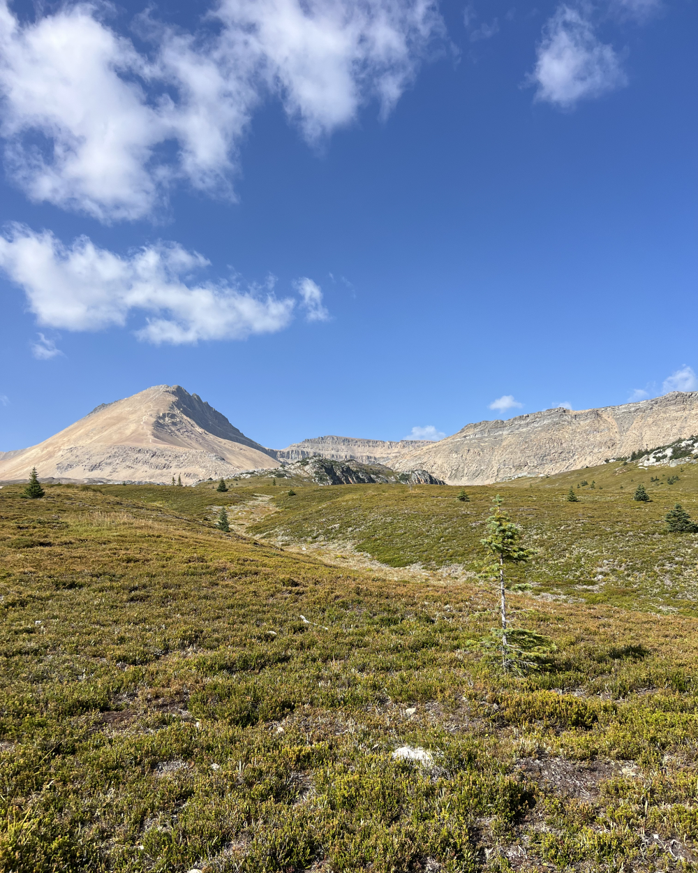  A first look at Cirque Peak in the distance.  