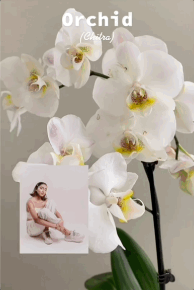 Sara_Larsen_Walmart_Plants.gif