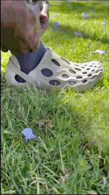 Remote_Art_director_Social_1.gif