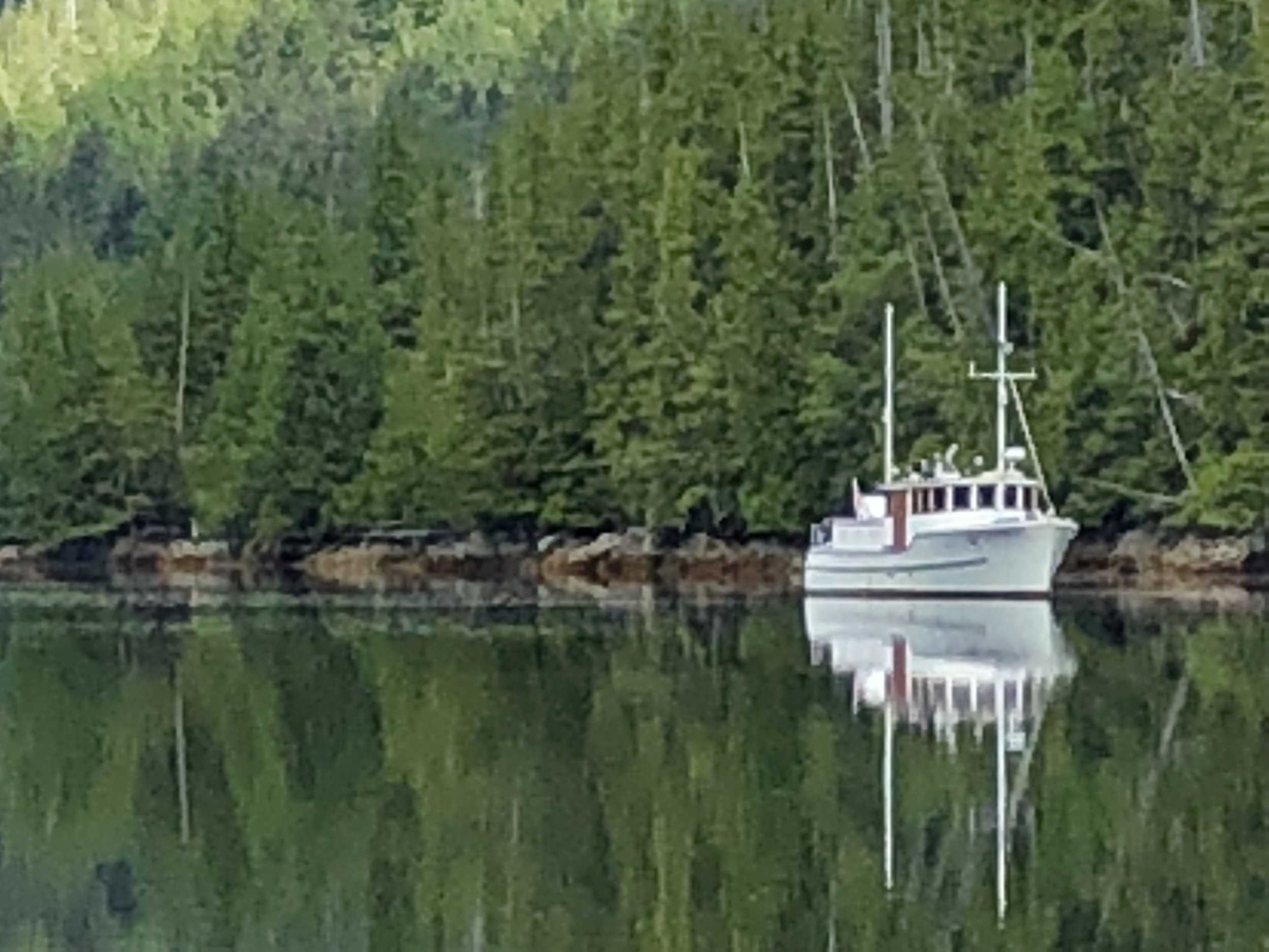 IMG_1778.jpg