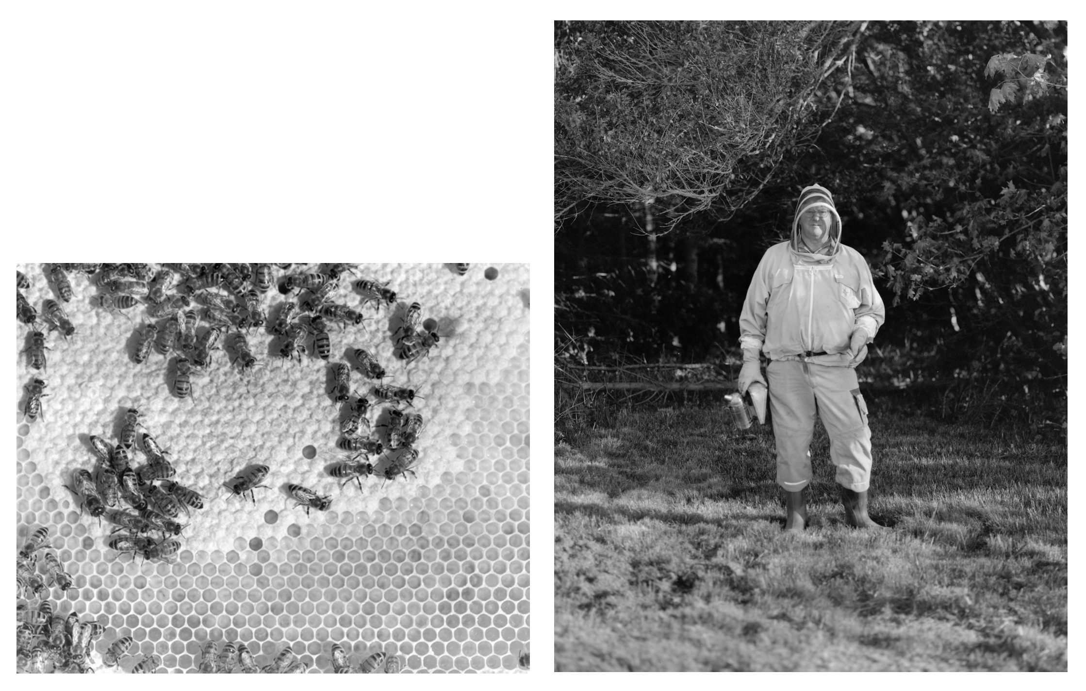 Aksel Fink, beekeeper