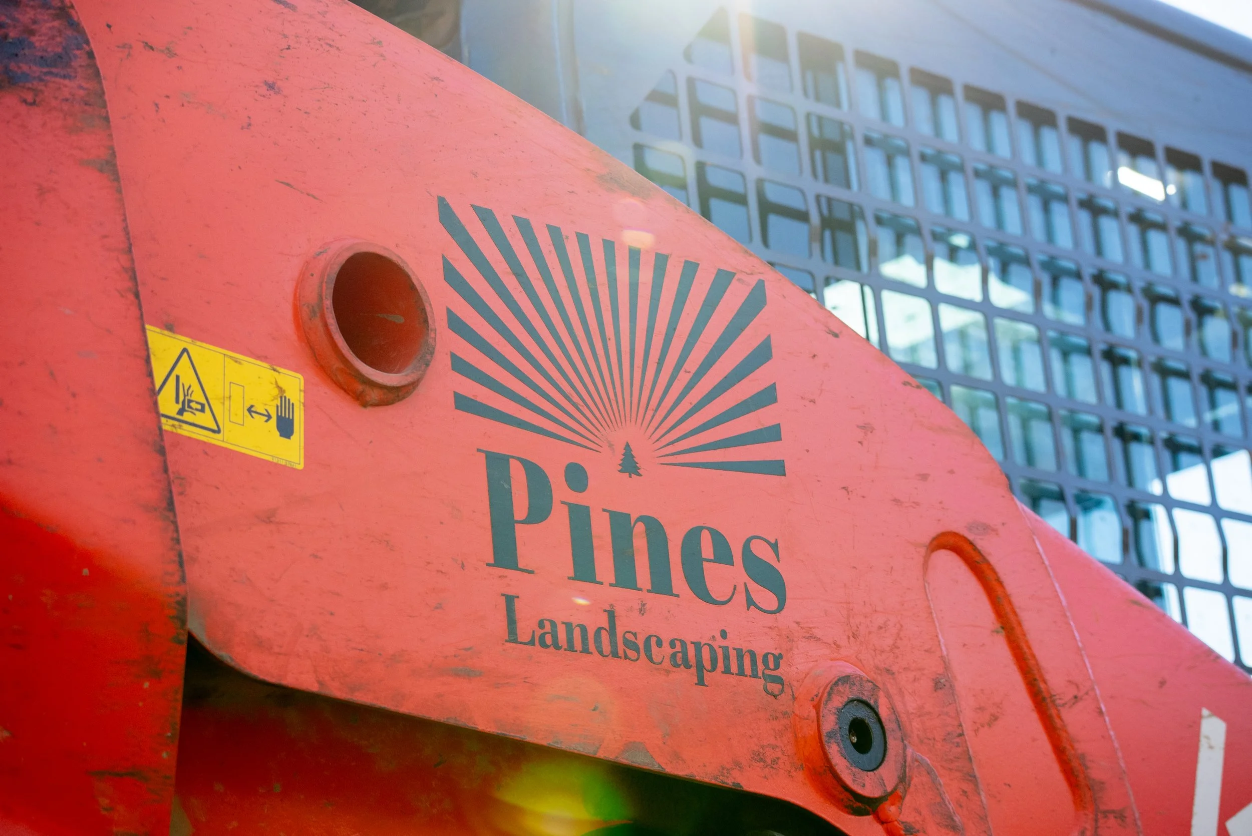 Pines Nov 2nd-7.jpg