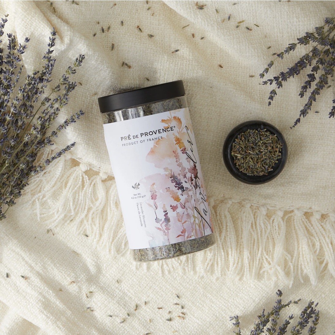 Screen Shot 2023-03-29 at 12.02.19 PM.png