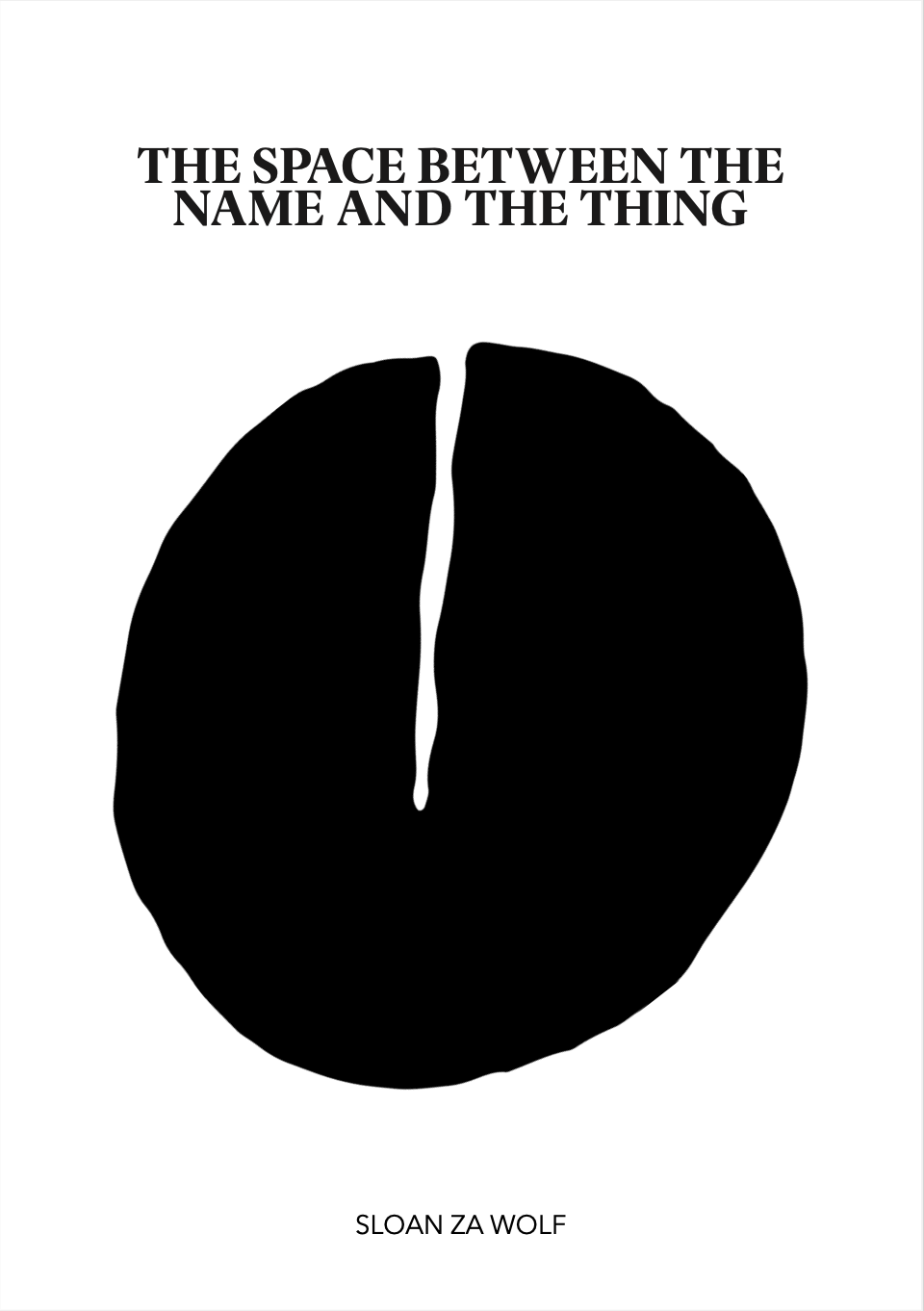 The Space Between the Name and the Thing (PDF)