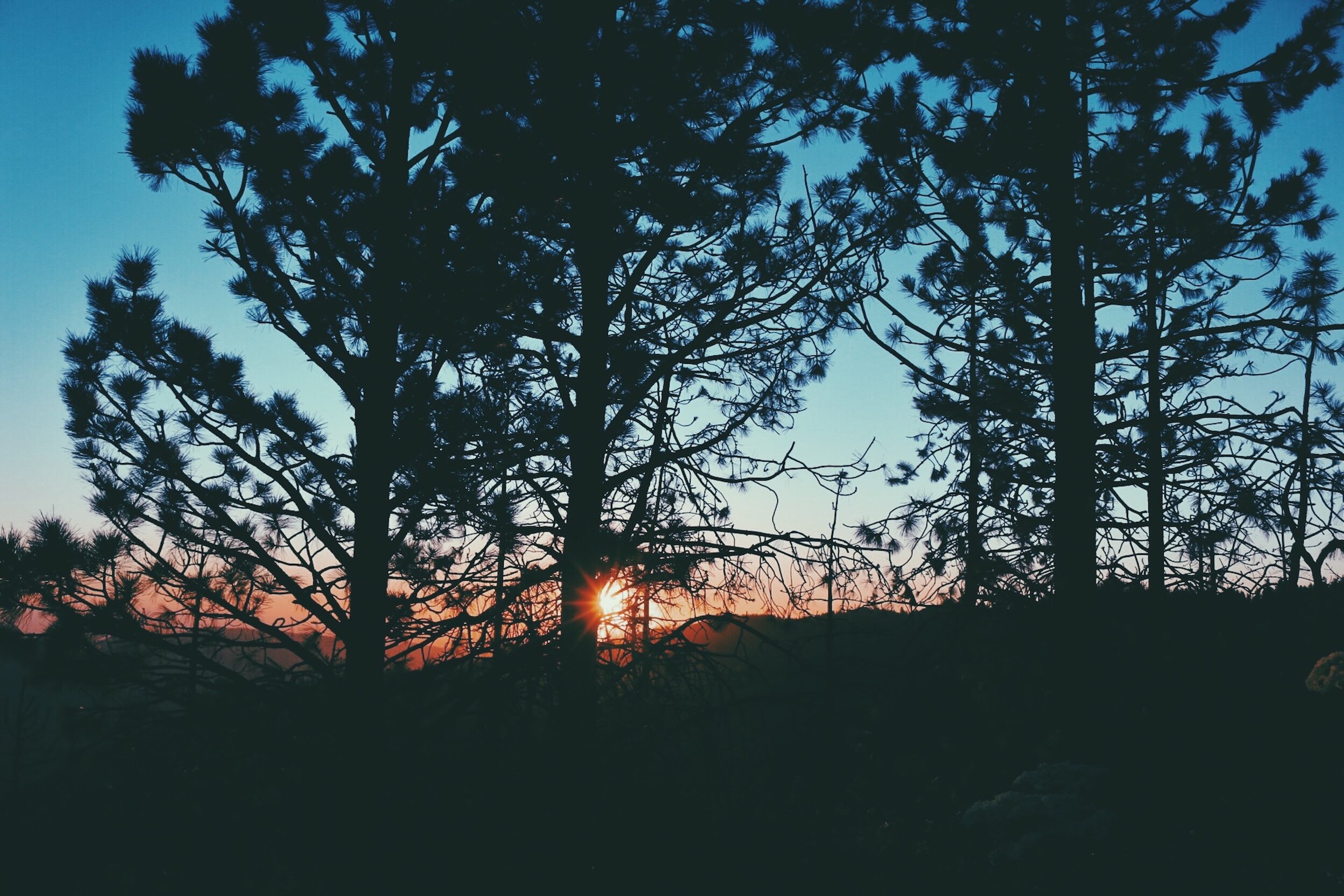 Resolutions Check-in: Give Yourself Some Grace.