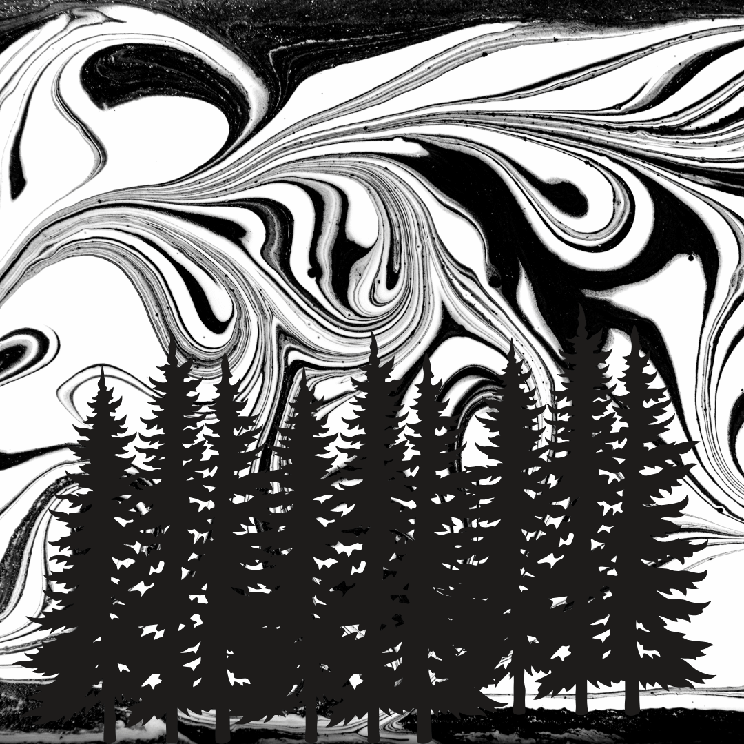 Beyond the Blueprint: The Power of Case Conceptualization in EMDR