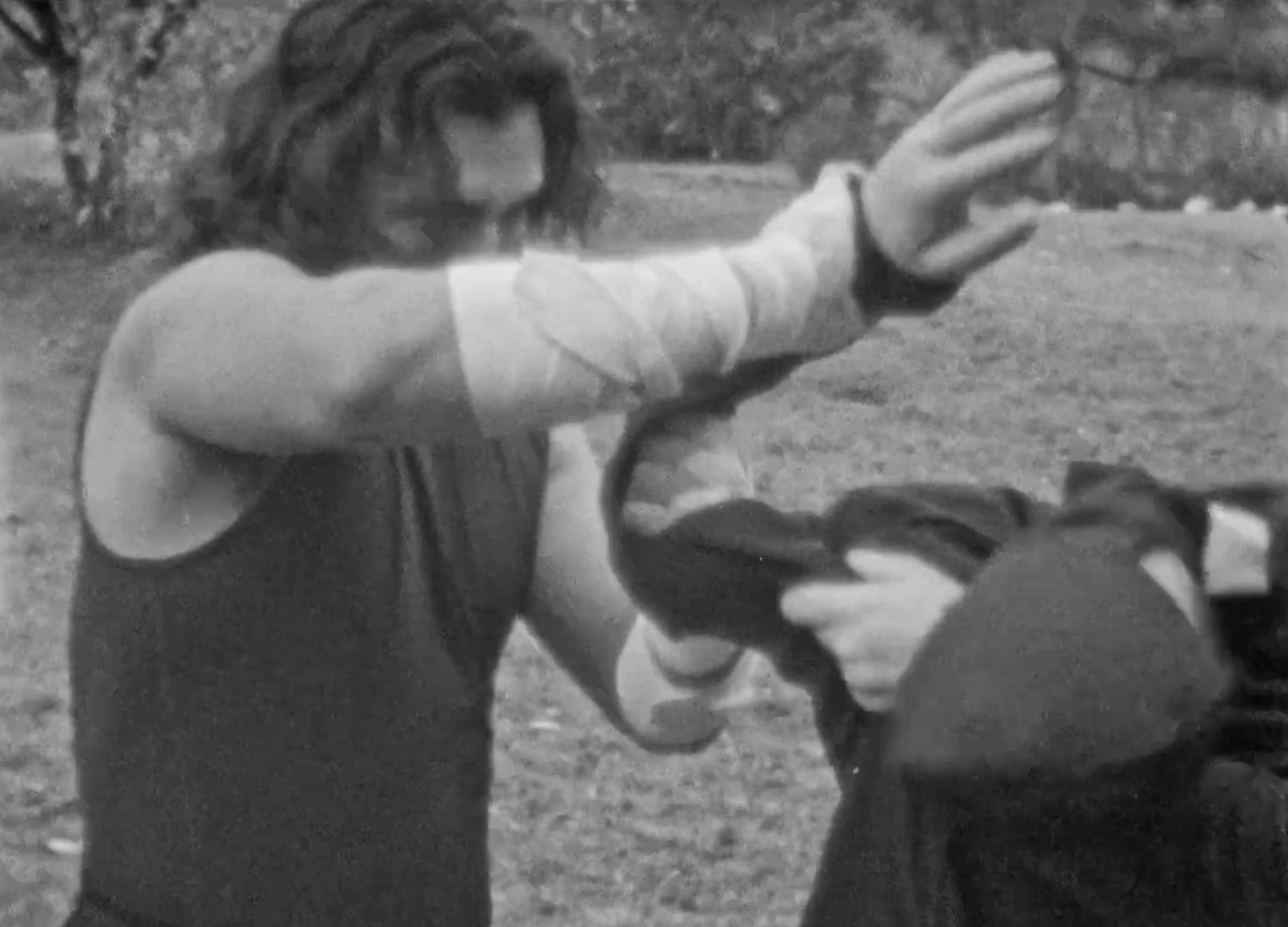 Karate Cyborg