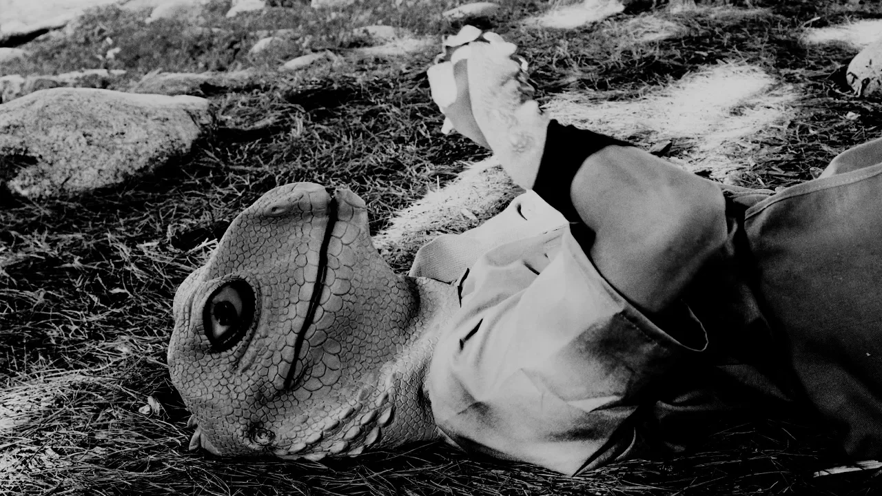Lizard Mailman
