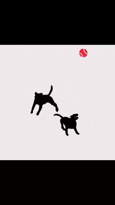 Short Animations