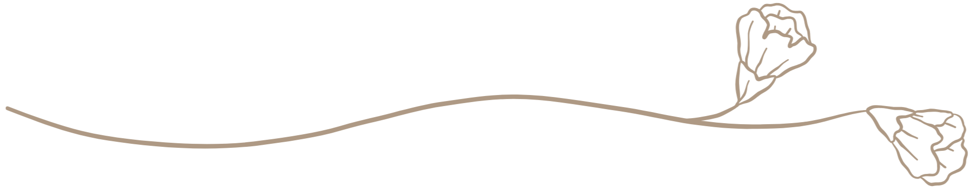 Line drawing of two flowers on a curved stem.