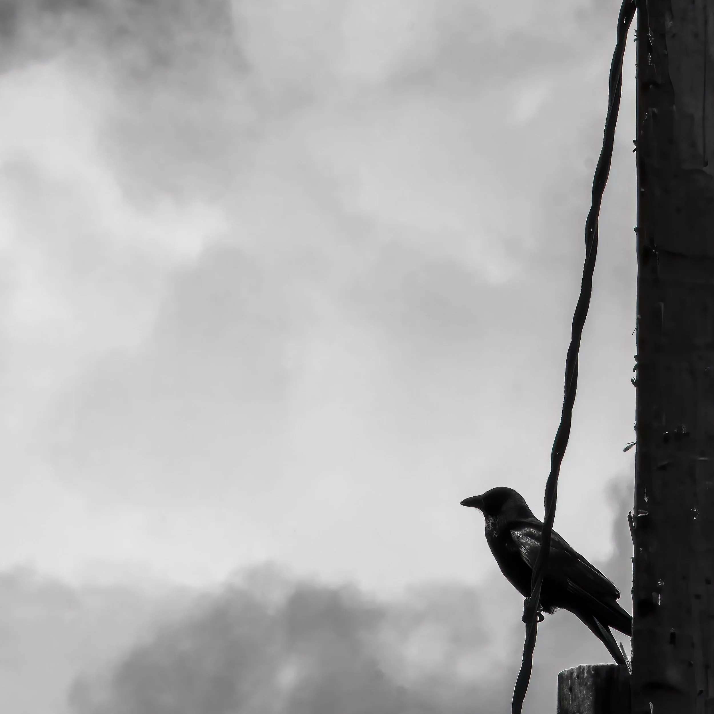 DSC04475-Edit.jpg