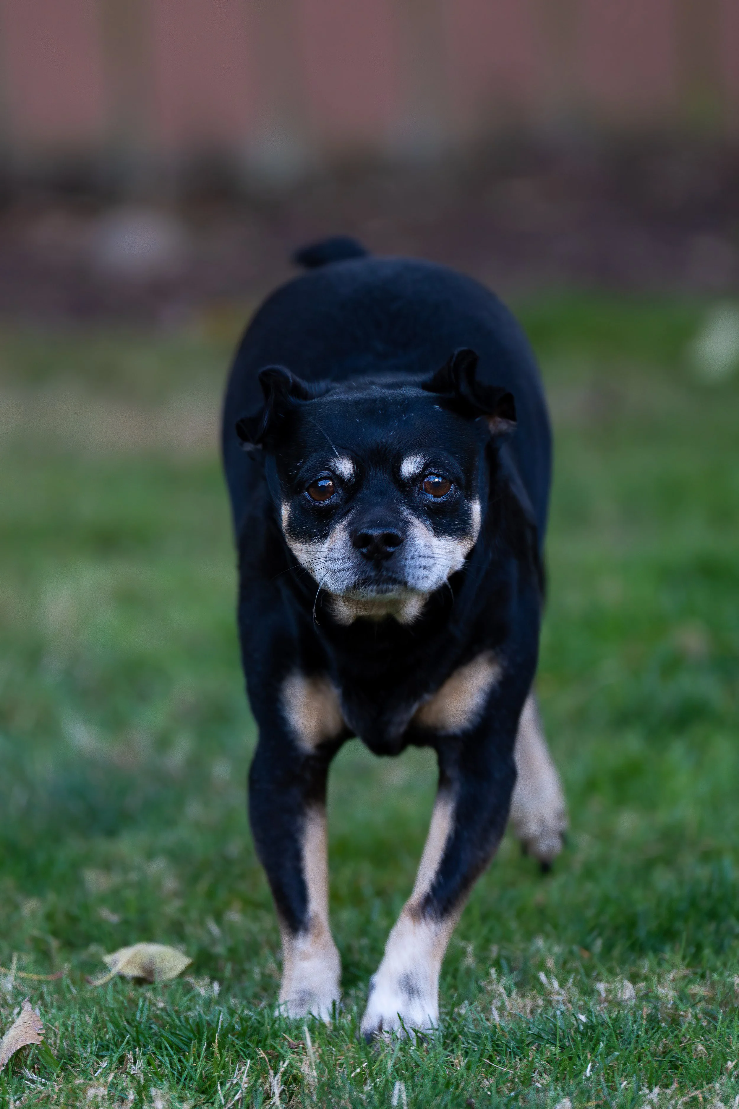 DSC09985-Edit.jpg