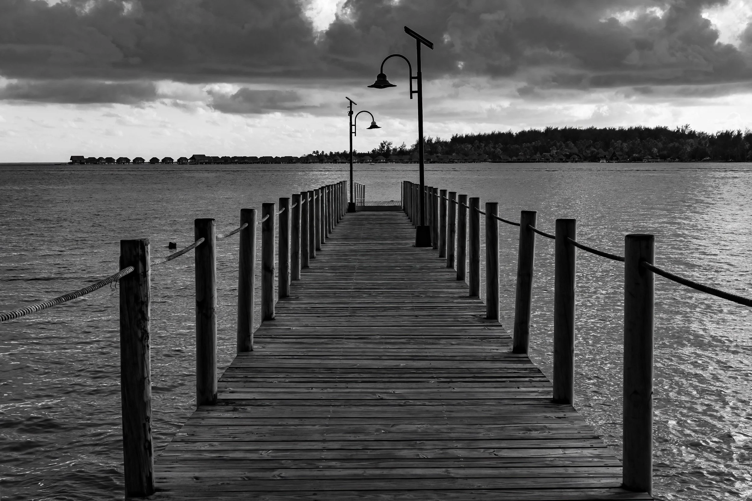 DSC05887-Edit.jpg