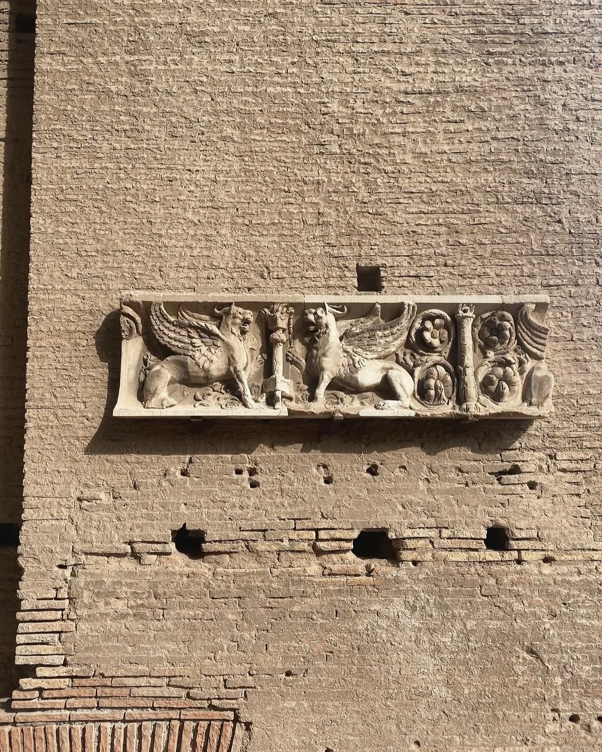 IMG_9101.jpeg