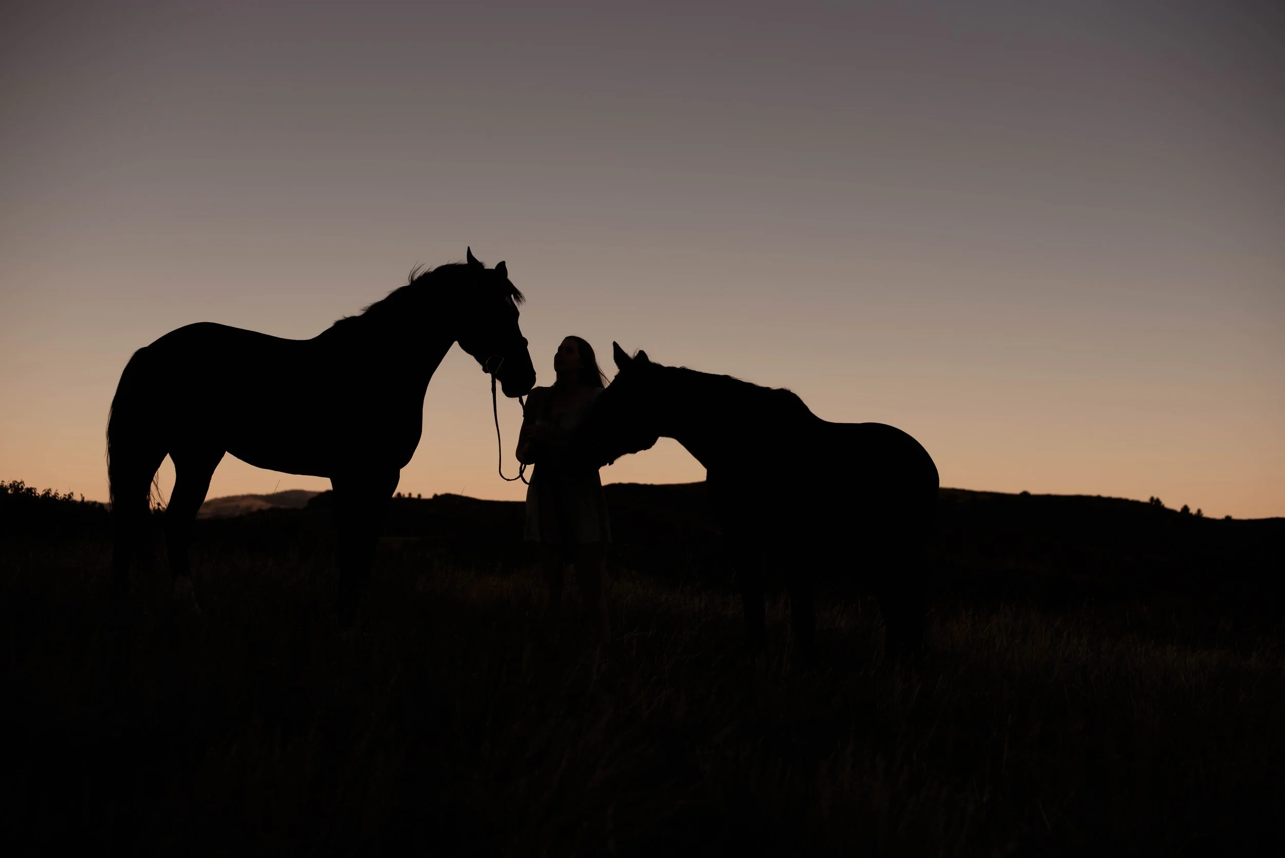 Why You Should Include Your Horse in Your Senior Pictures — Katie ...