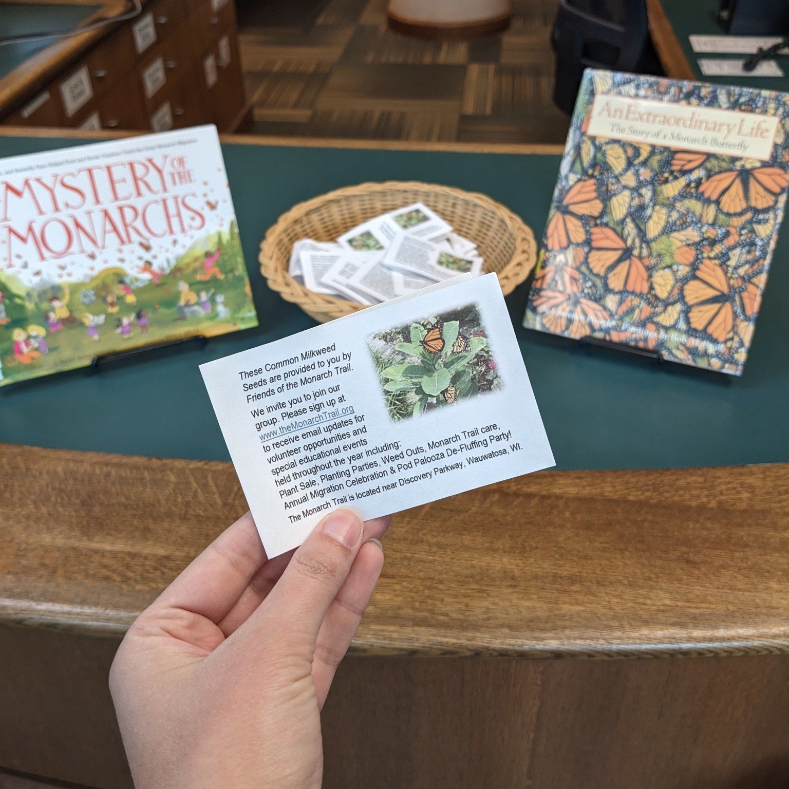 Calling all gardeners 🌷🪻

Packages of common milkweed seeds are free for the taking at the Circulation Counter near our New Adult Books! According to the US Forset Service, milkweed is a vital food source for over 450 spieces of insects, including 