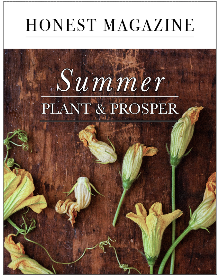 Honest Magazine Summer Garden Issue: Plant and Prosper
