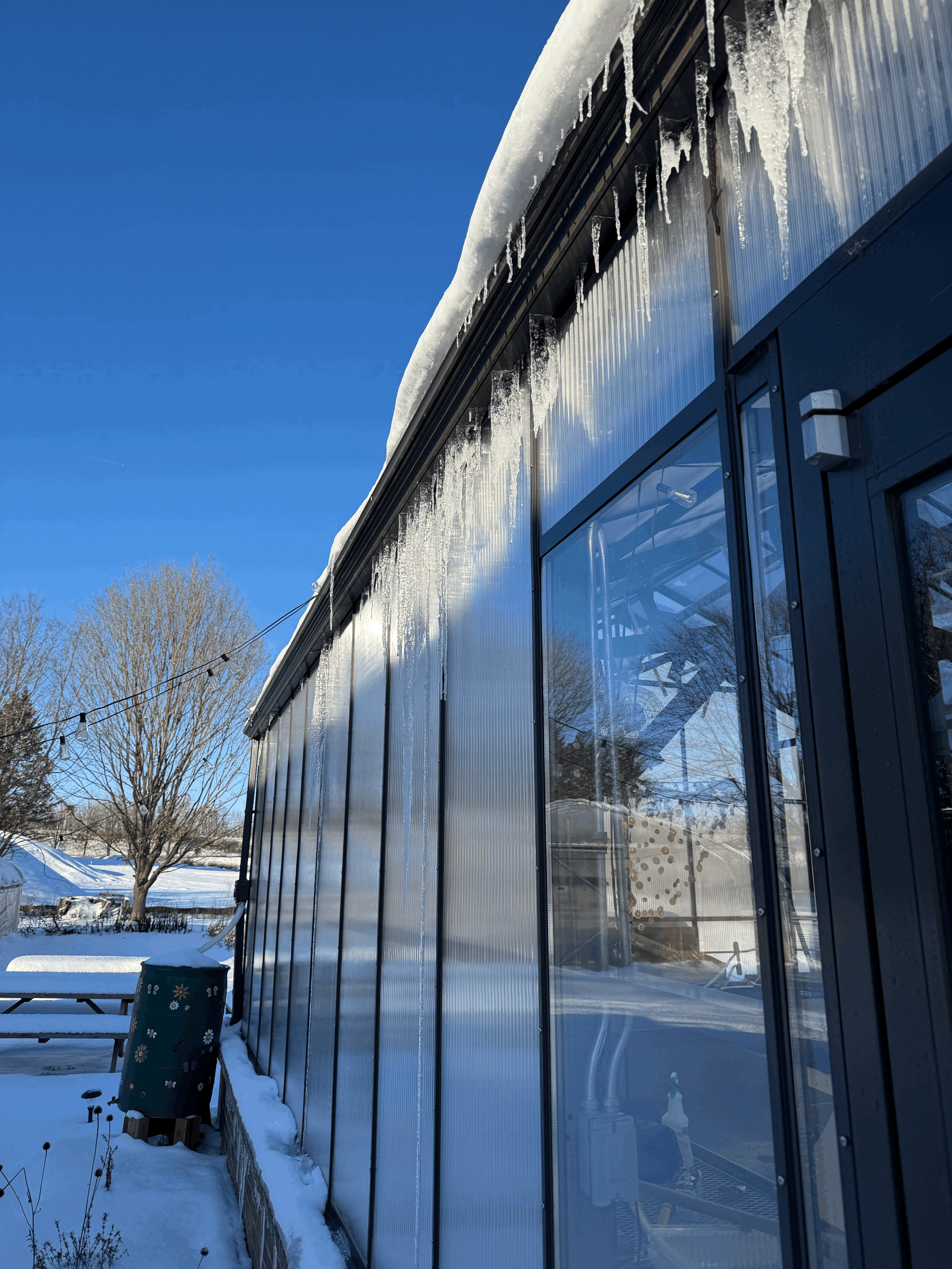 Winter Sowing Workshop