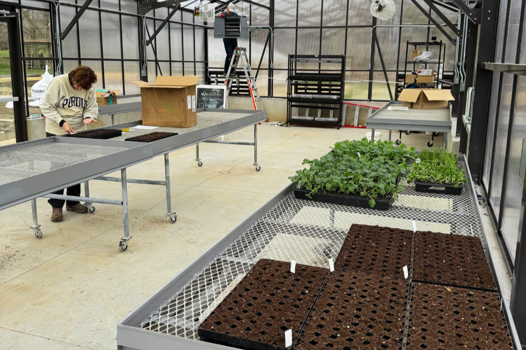 Seed Starting Workshop