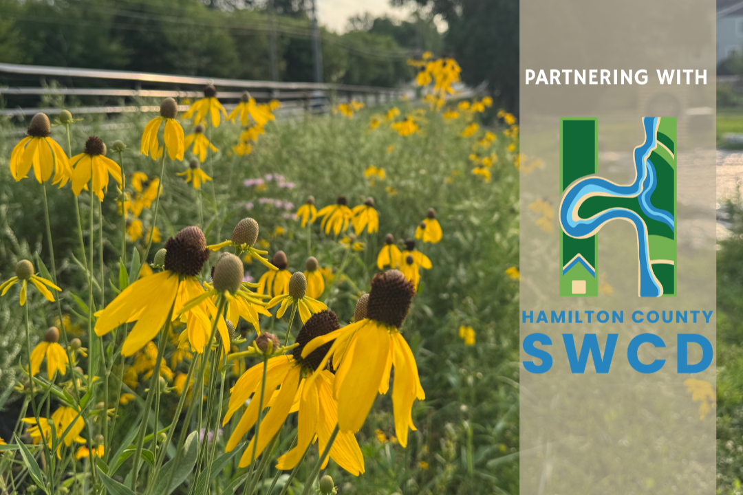 Native Landscaping Workshop