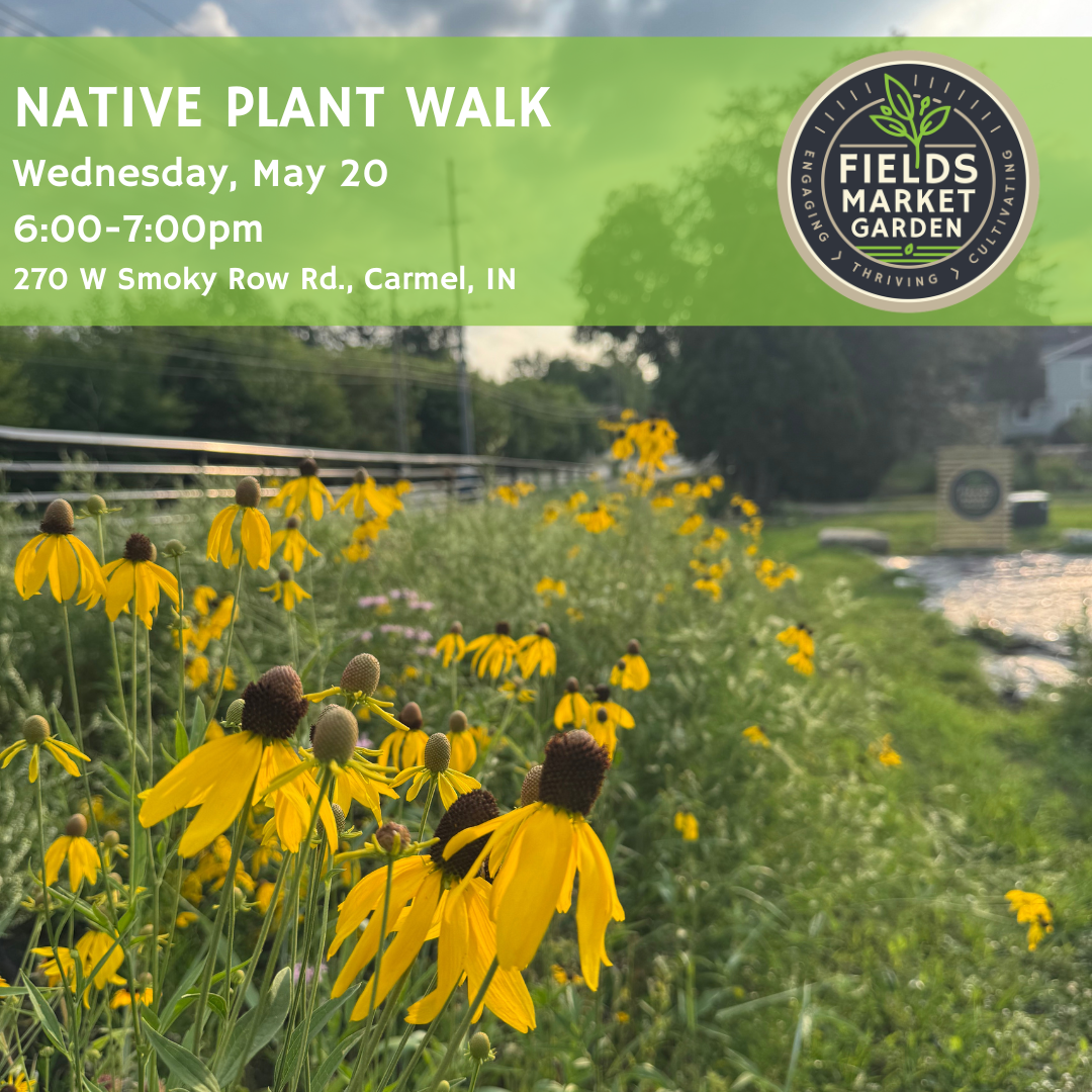 Native Landscaping Workshop