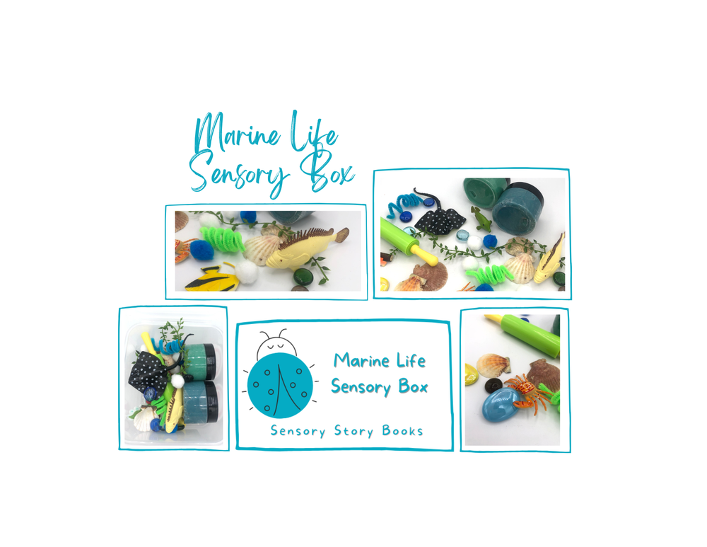 Sensory Box Bundle: Desert, Rainforest, Wetlands — Homeschool In A Box