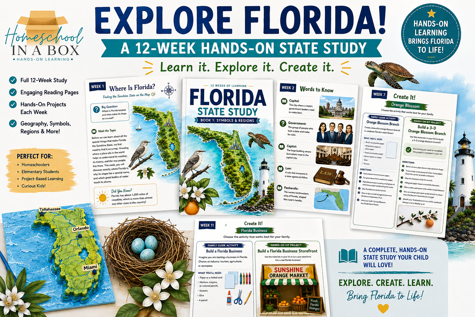 florida state study photo.png