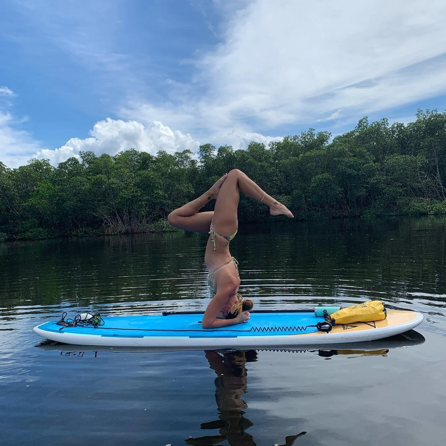 Nature is our greatest teacher ✨
.
.
Sun is shining and the weather is sweet 🌊 meet us on your boards for strength, balance and stretch! 
. . .
10am - Nov 11 and 25th @gypsea_air will be leading a class at sunset beach in tarpon springs! 
Sign up or