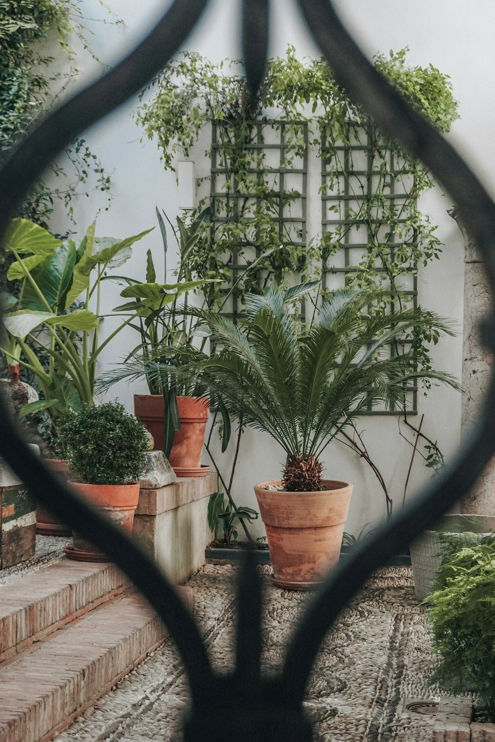 Yoga & Sound Journey in the Garden
