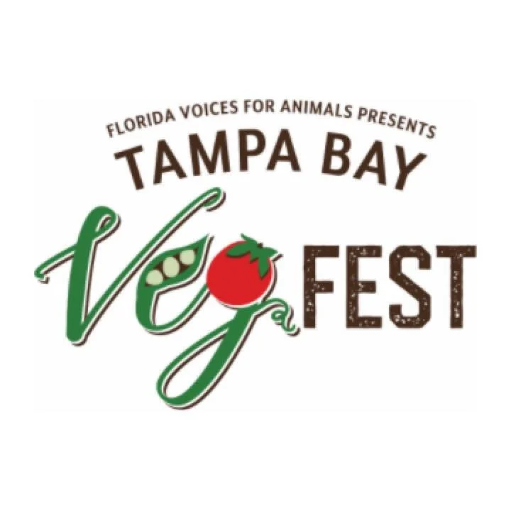 Acro Play @ Veg Fest Tampa Bay