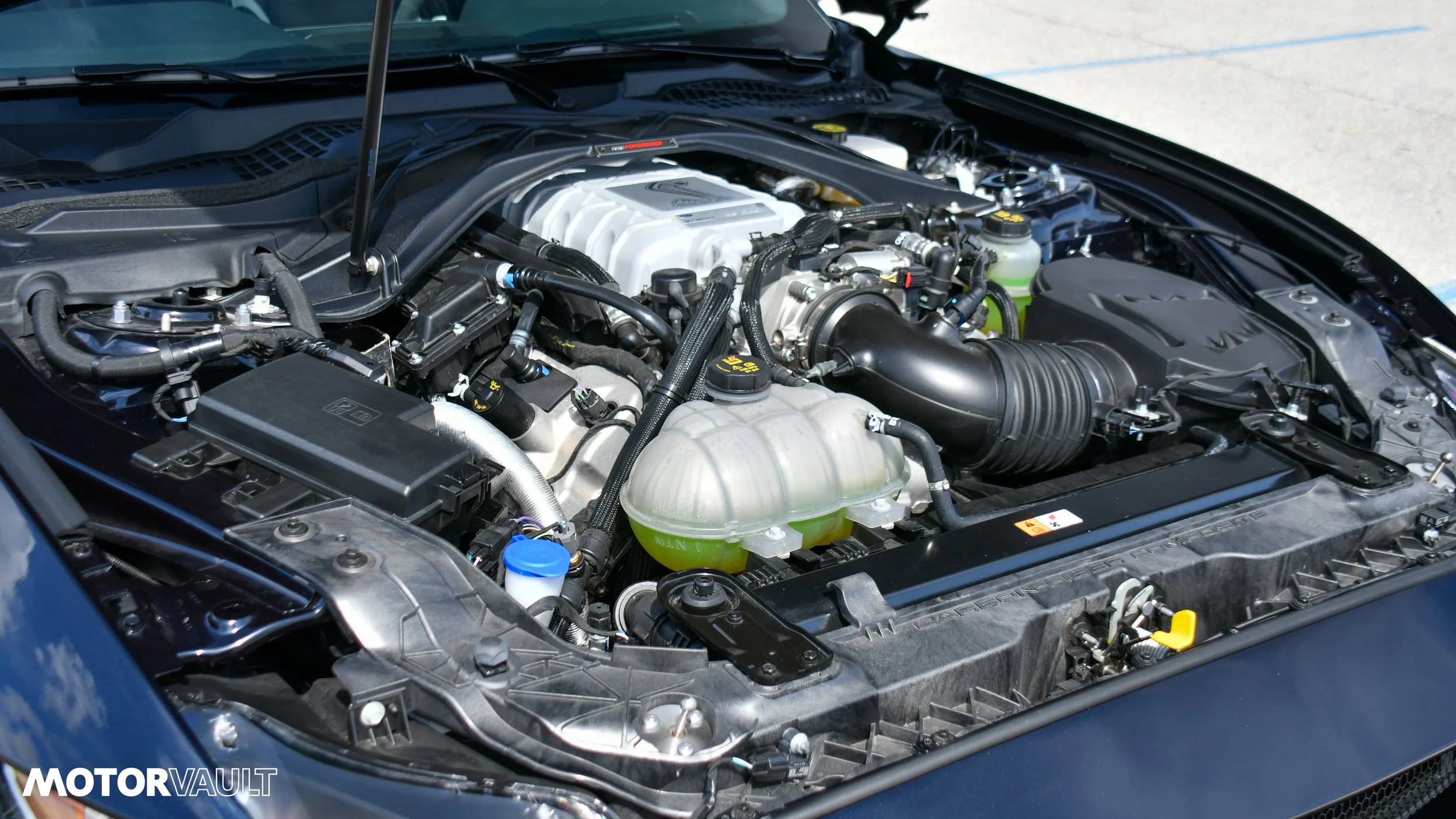 DSC_3218.jpg