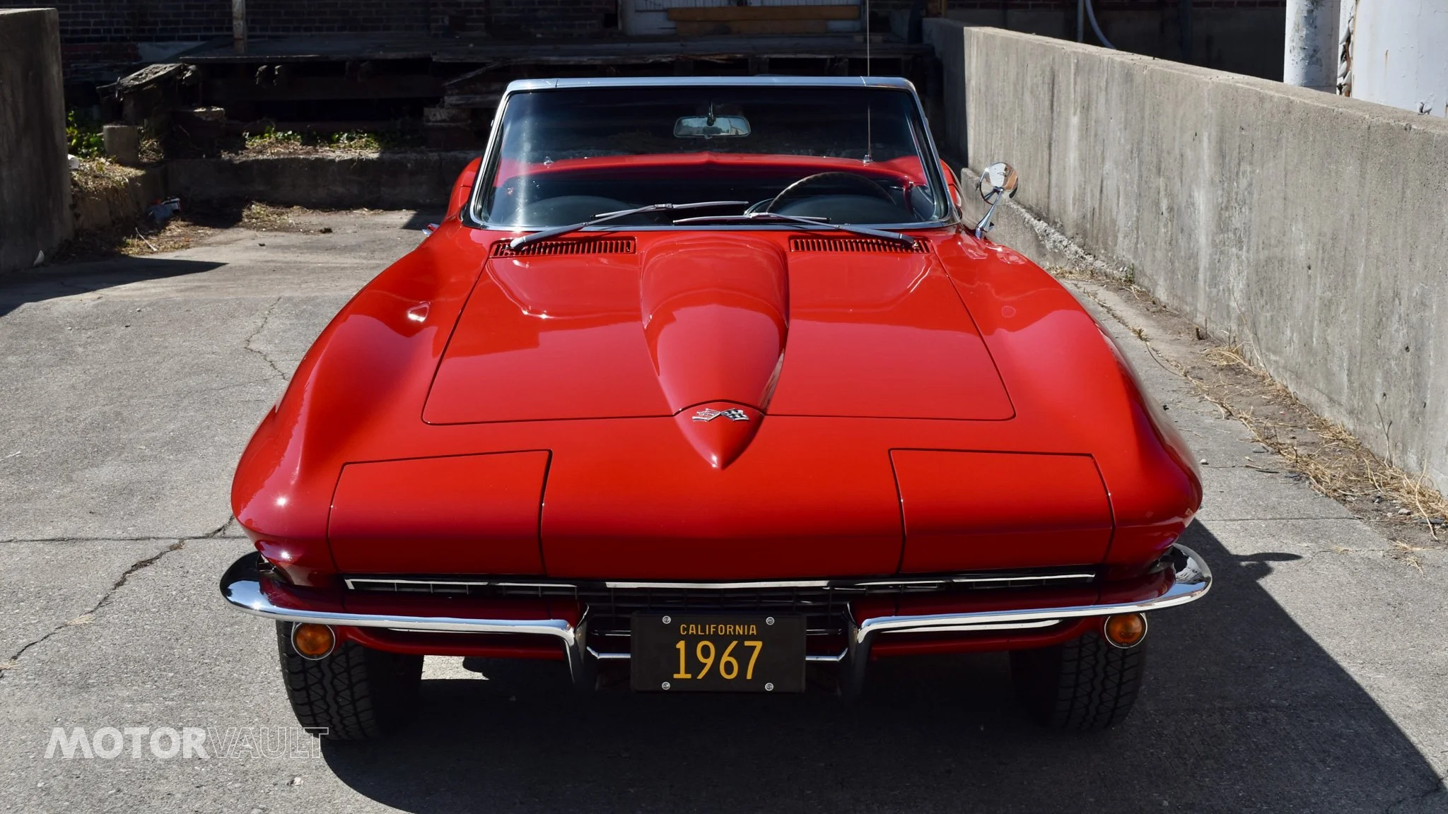 DSC_0491.jpg