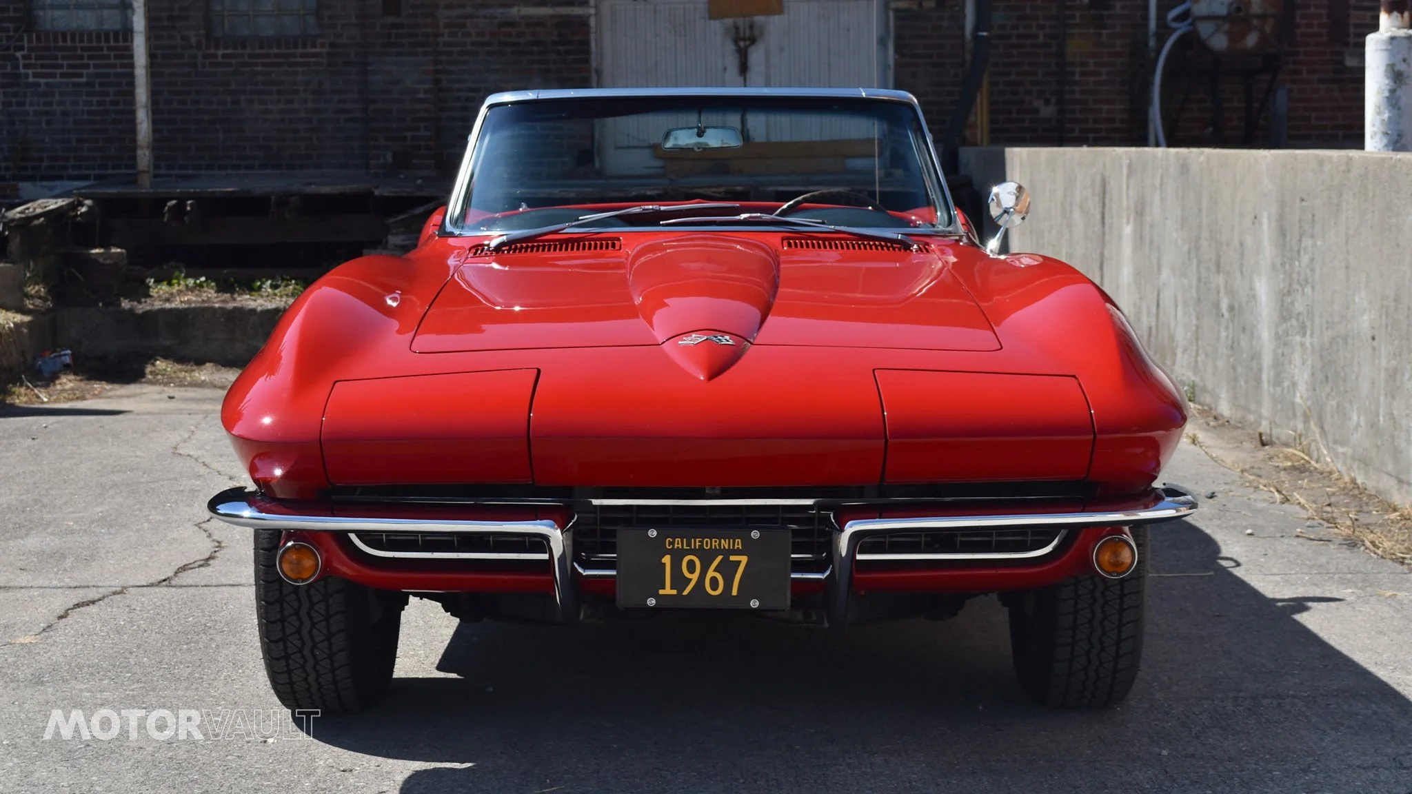 DSC_0496.jpg