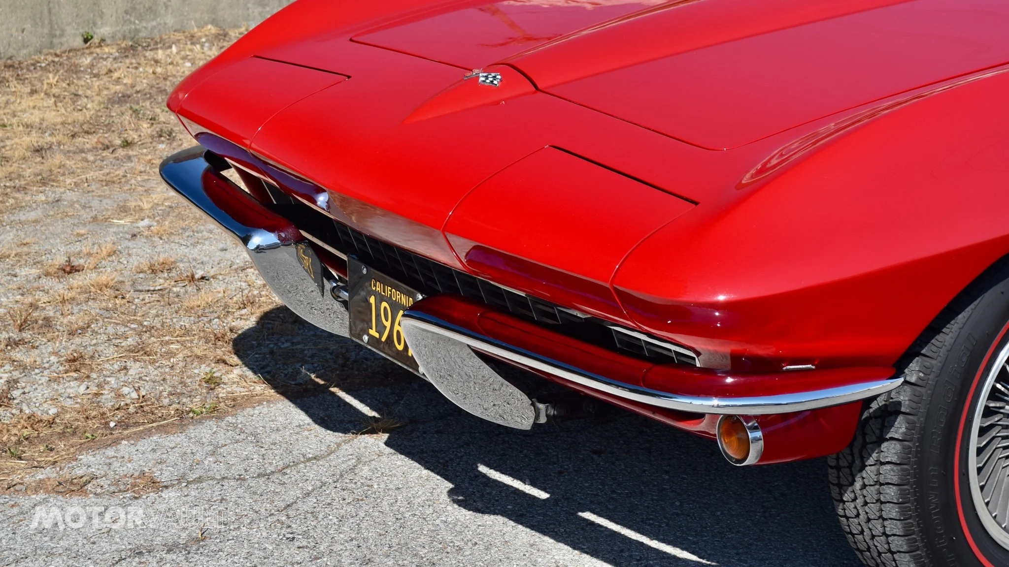 DSC_0595.jpg