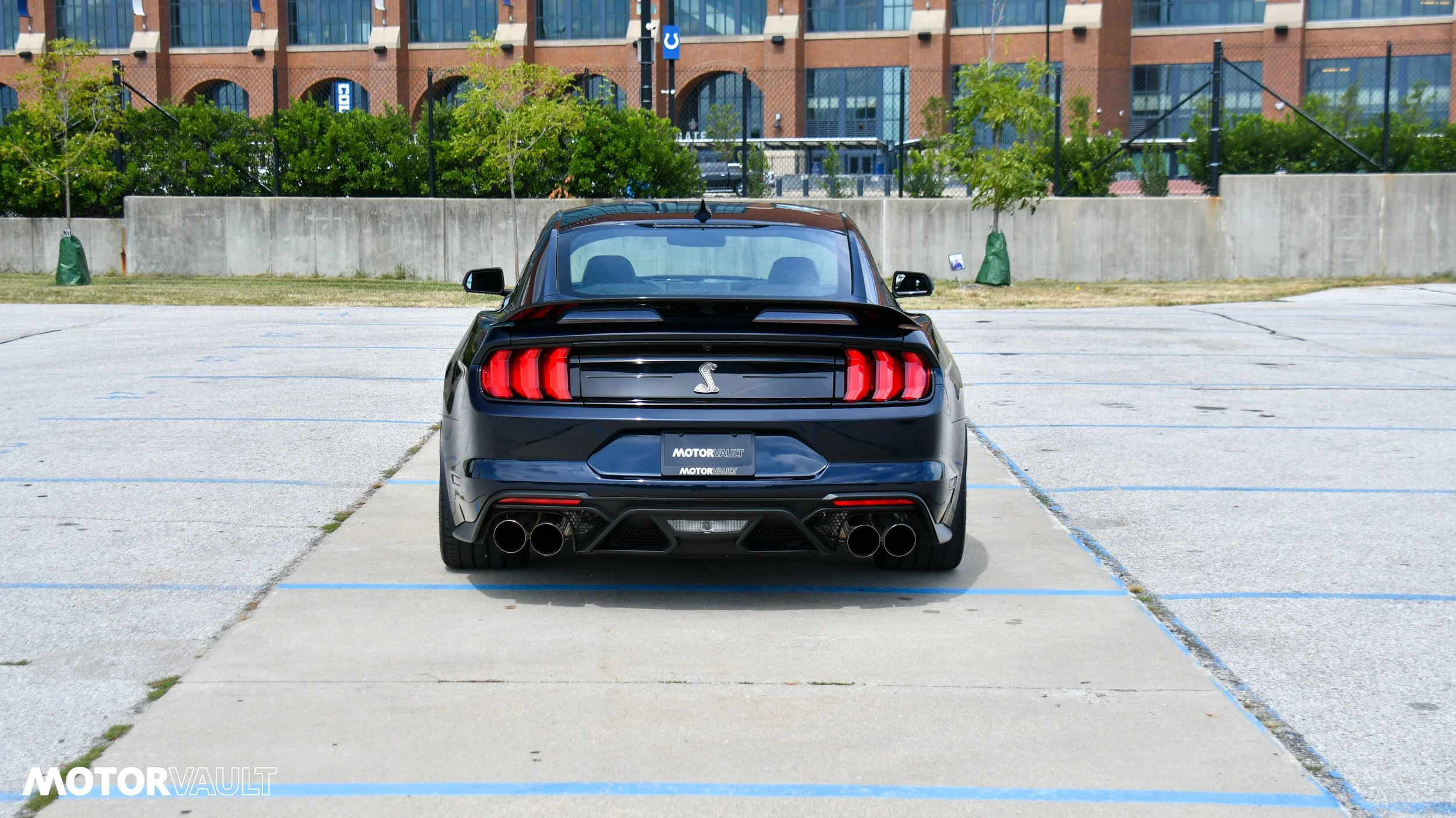 DSC_3149.jpg