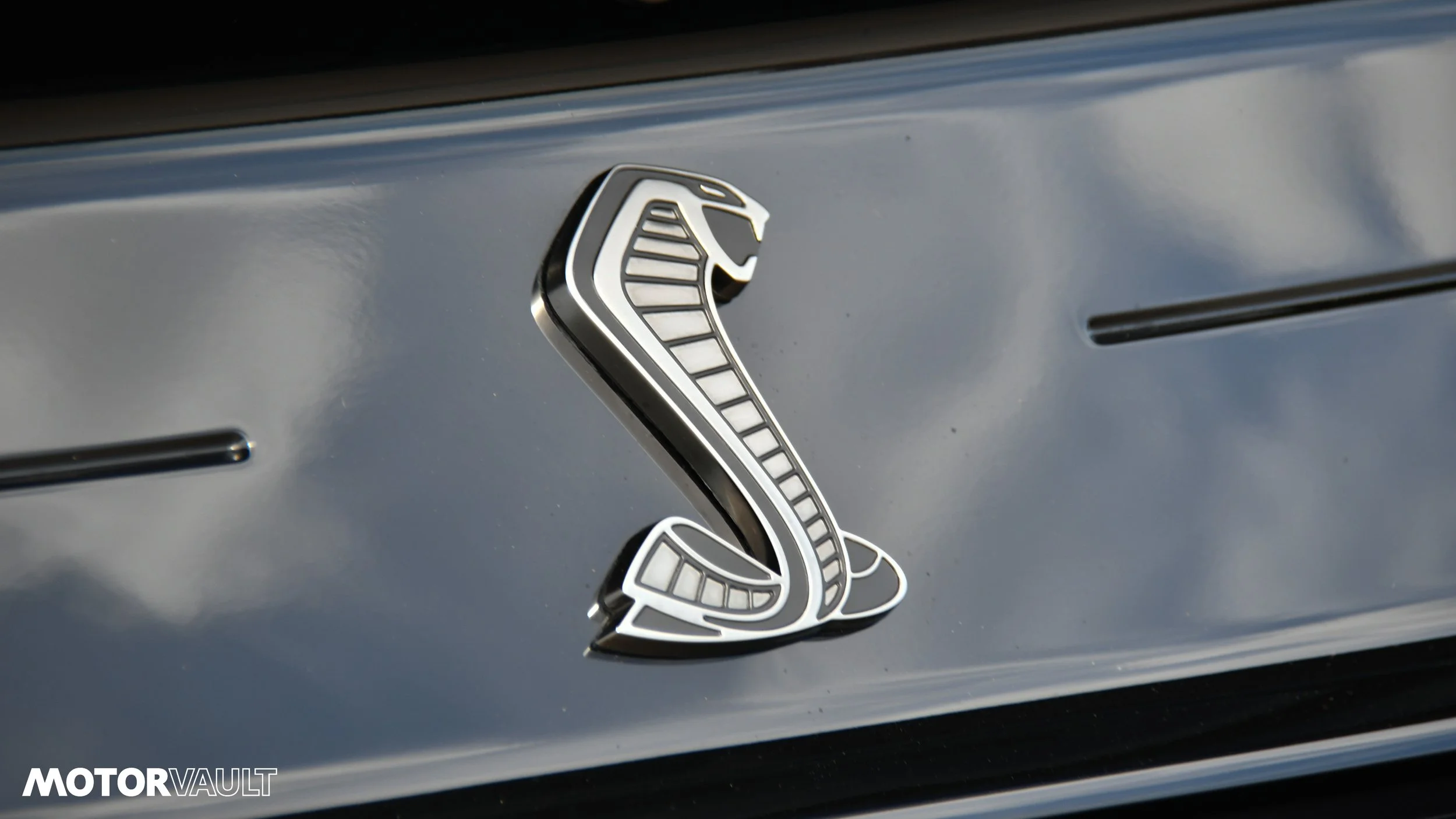 DSC_3157.jpg