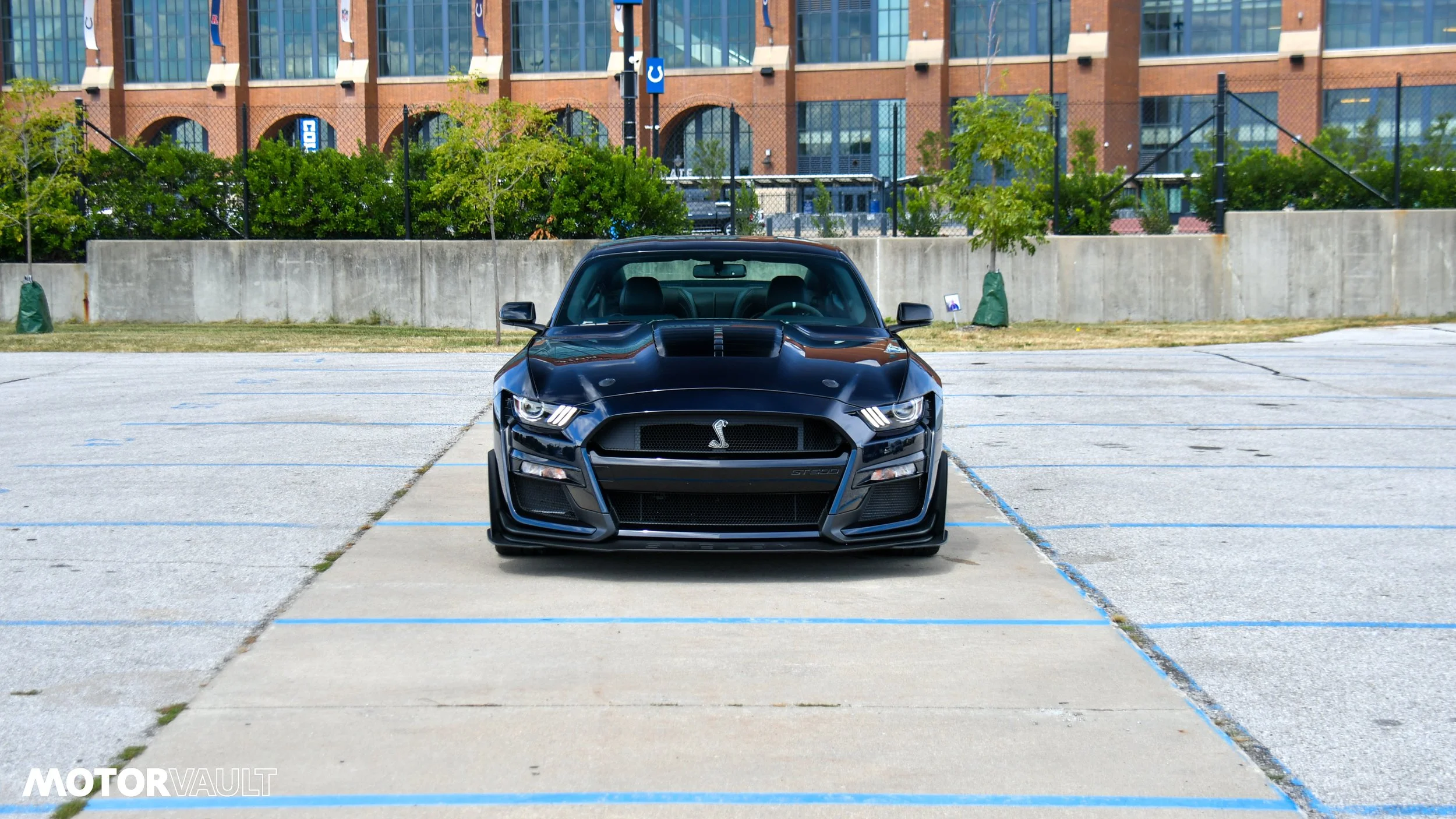 DSC_3204.jpg