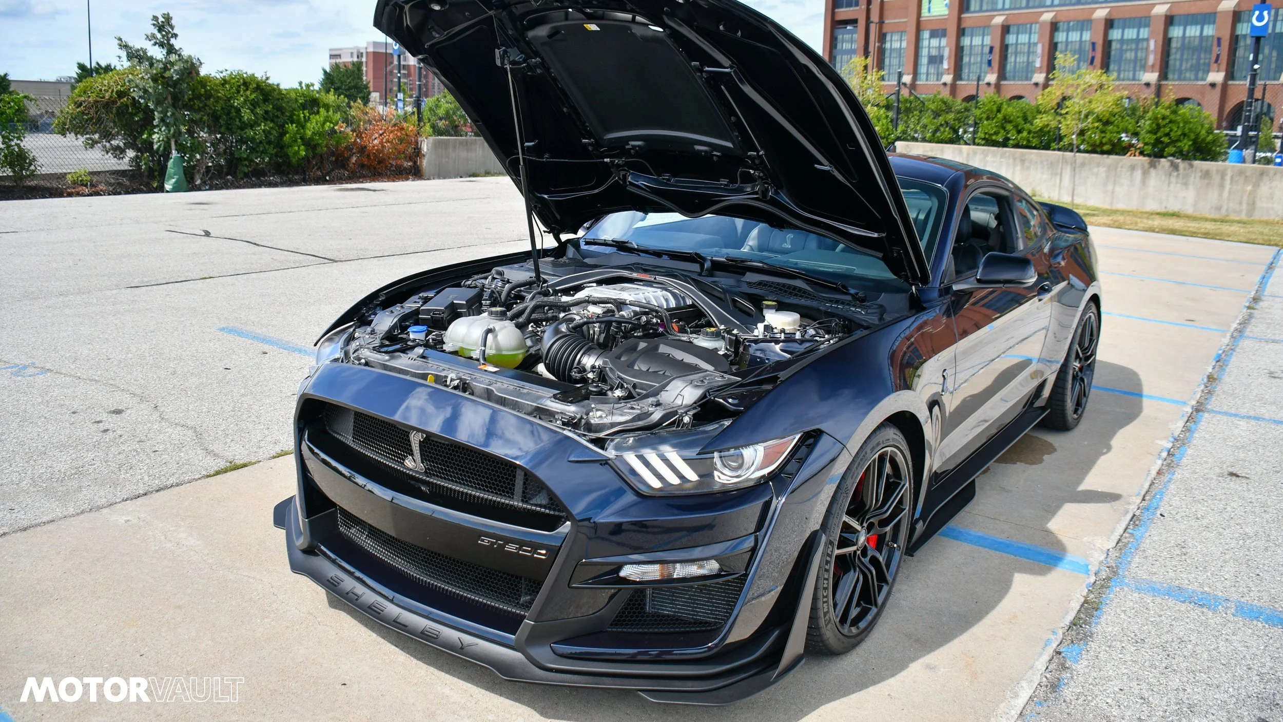 DSC_3217.jpg