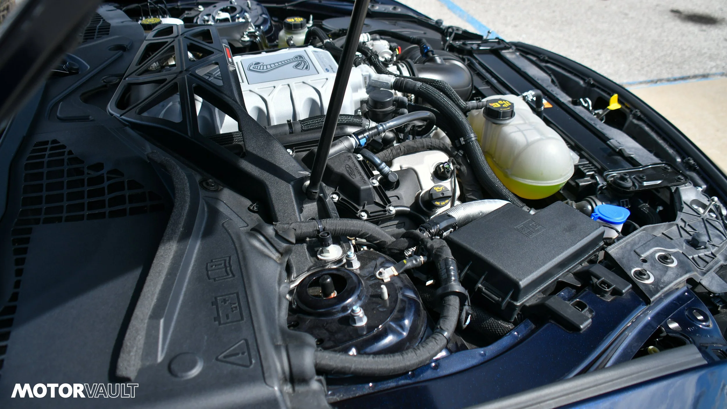 DSC_3222.jpg