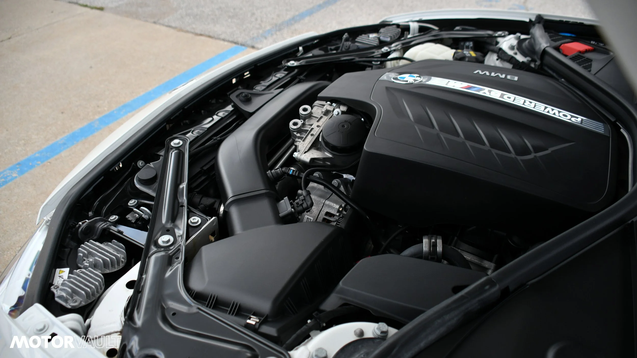 DSC_3351.jpg