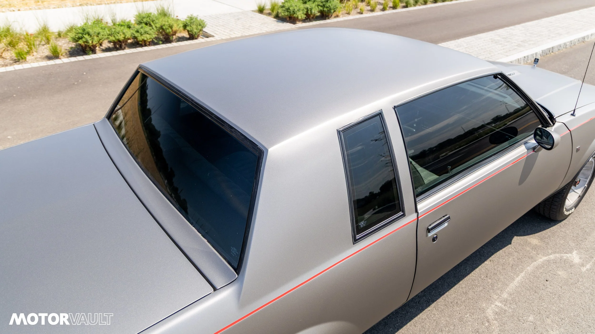 IMG_7973.jpg