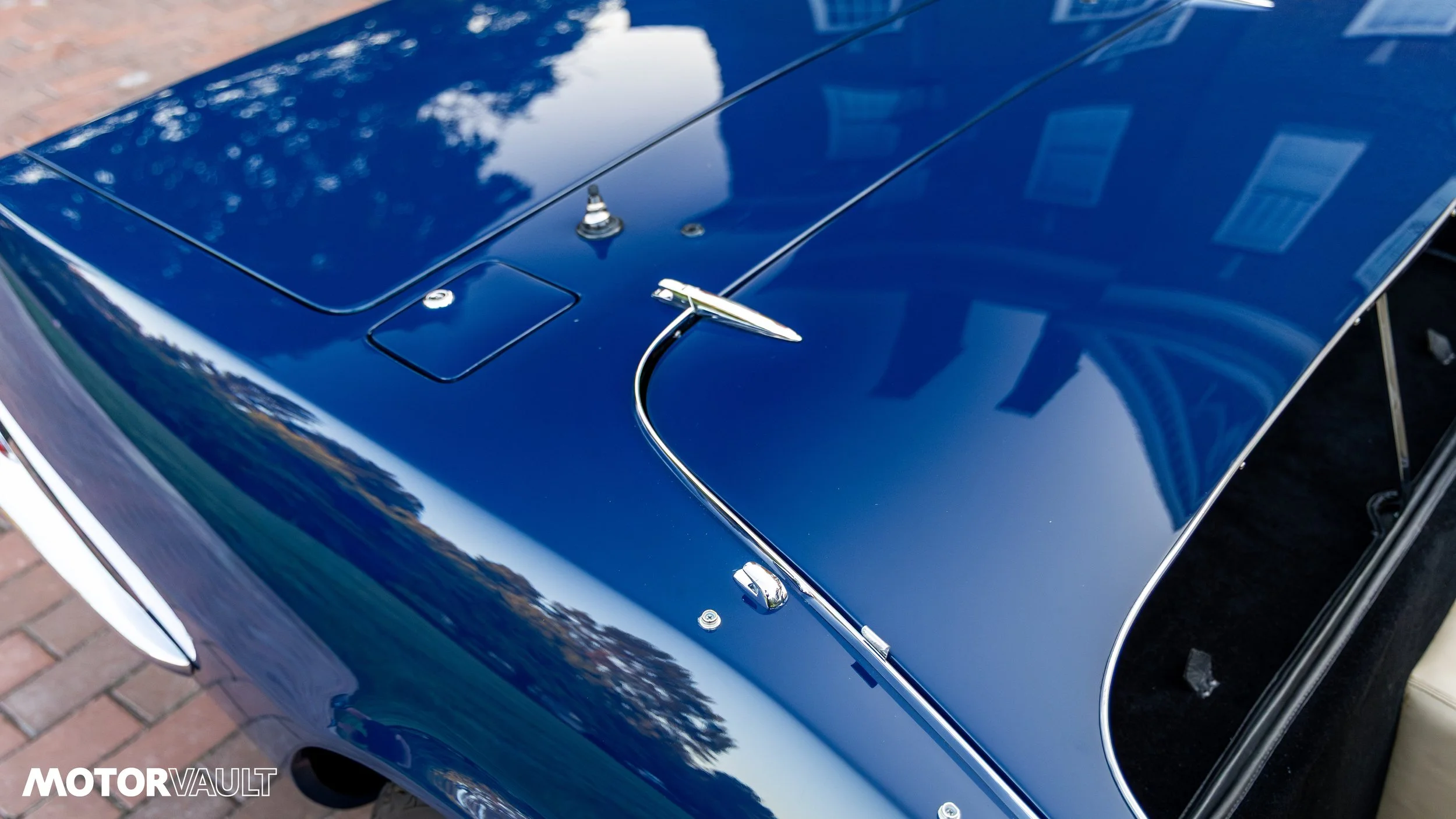 IMG_0745.jpg