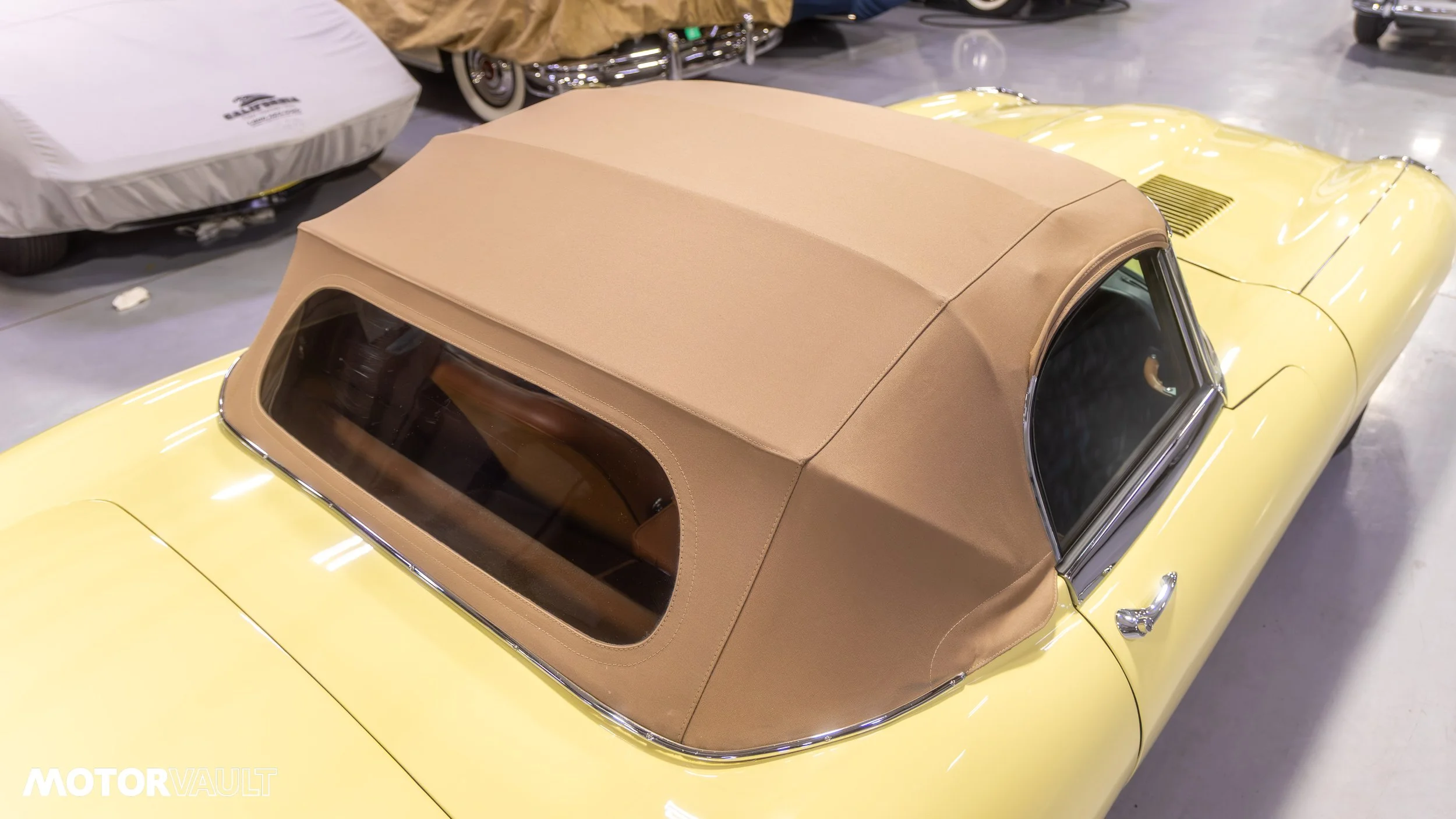 IMG_9285.jpg