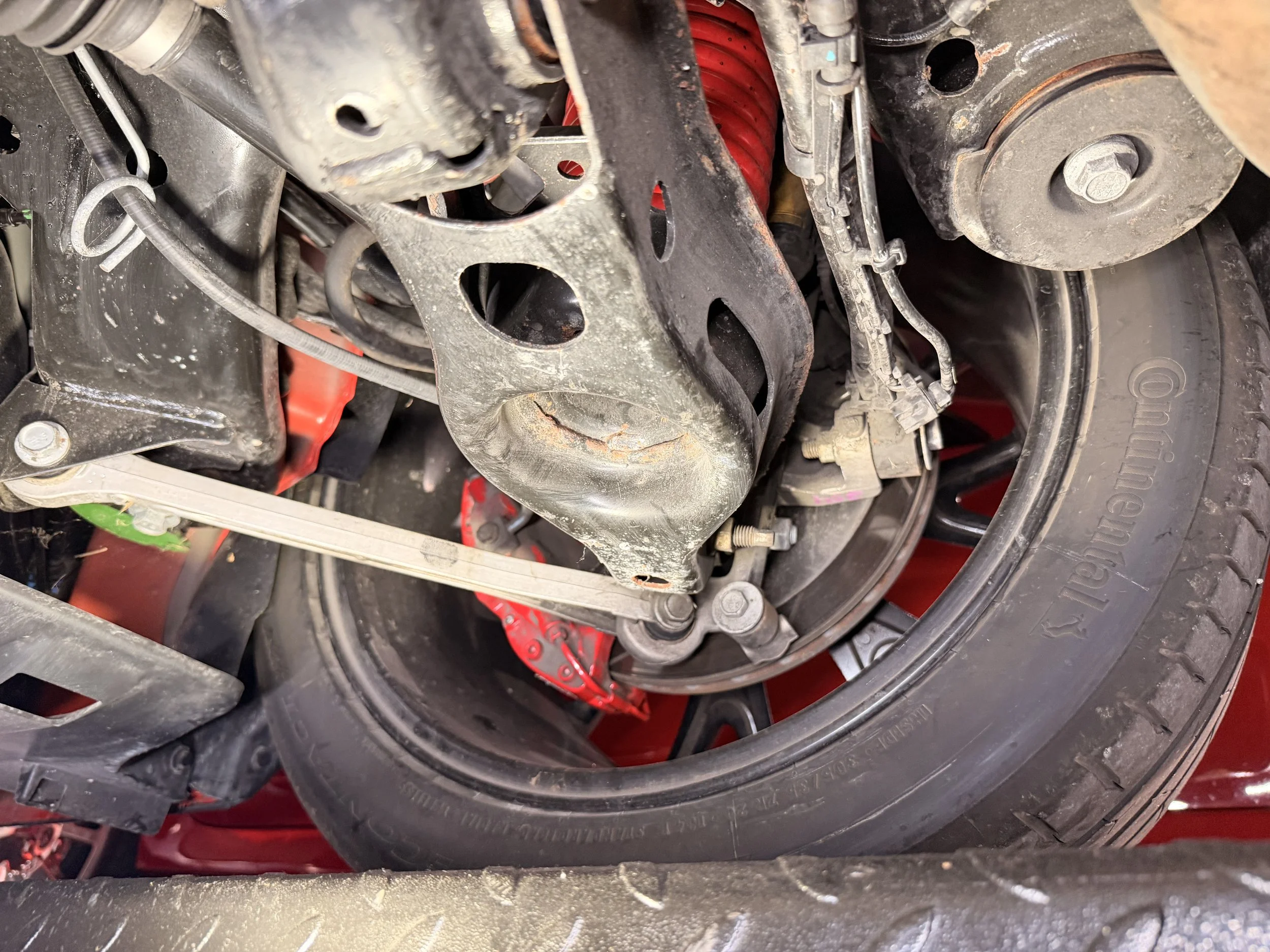 IMG_2419.jpeg