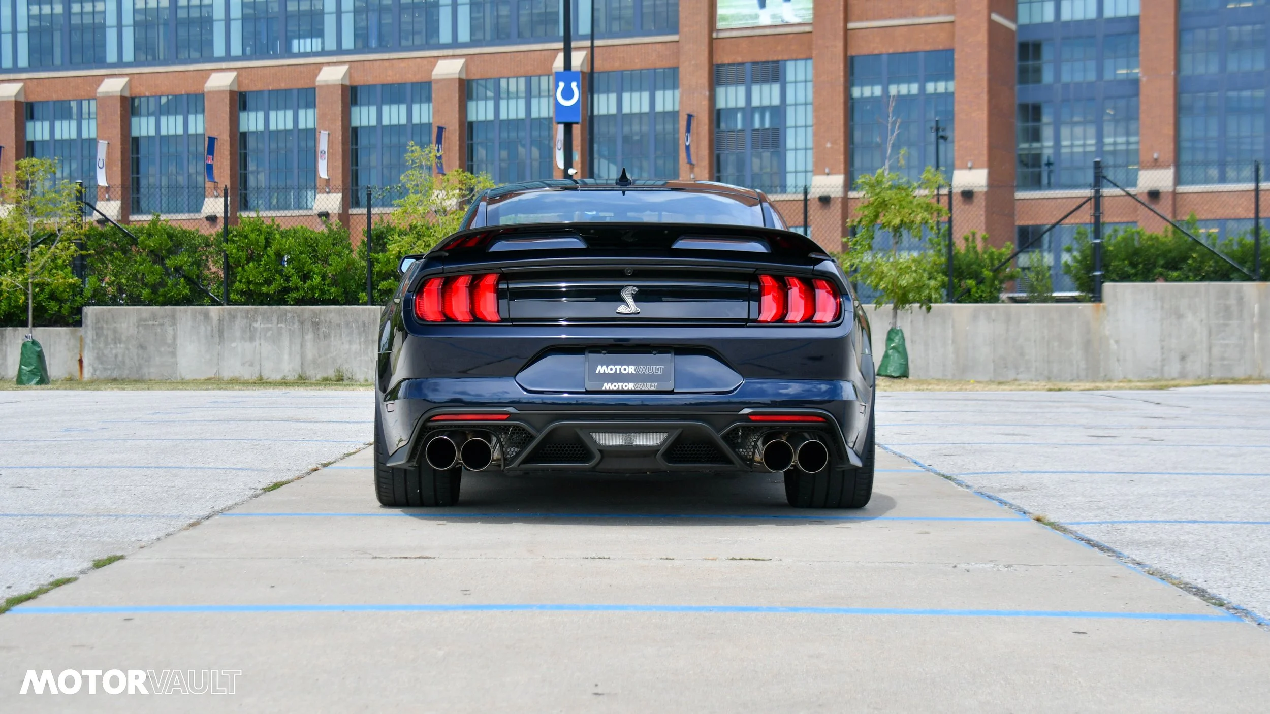 DSC_3151.jpg