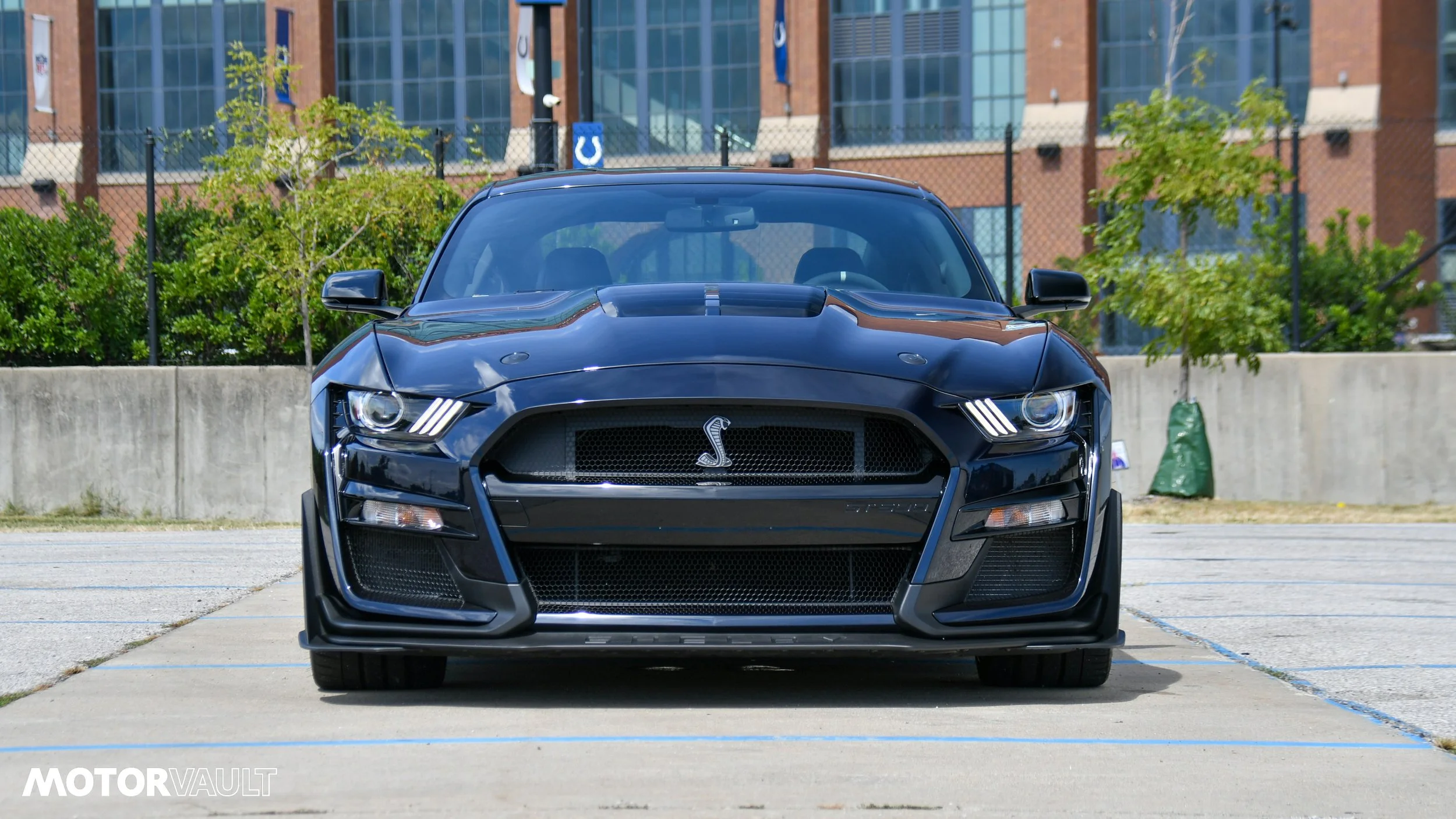 DSC_3207.jpg