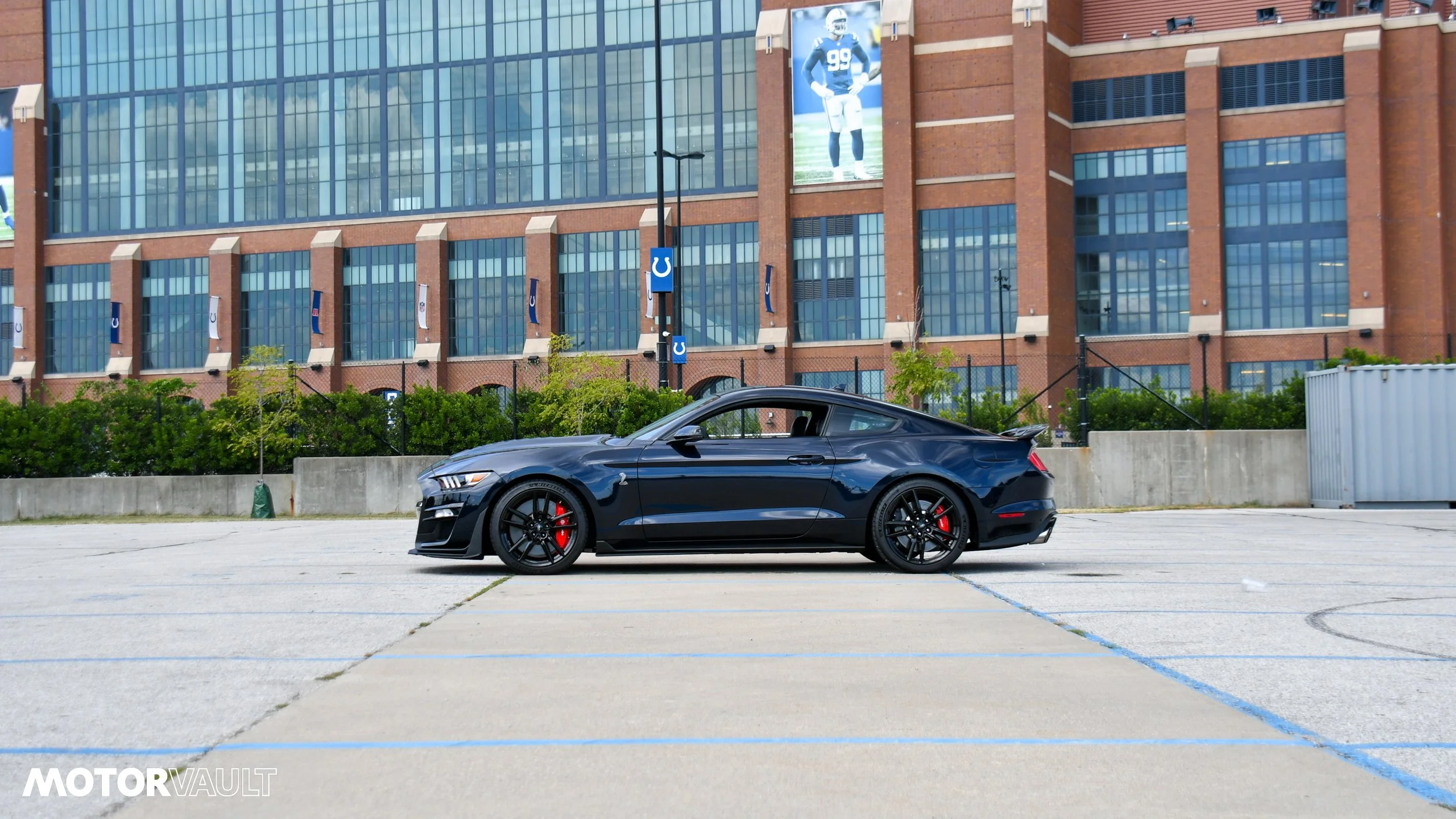 DSC_3130.jpg