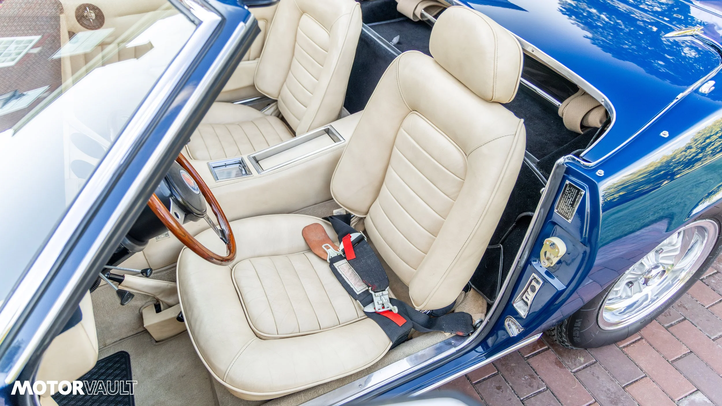 IMG_0527.jpg