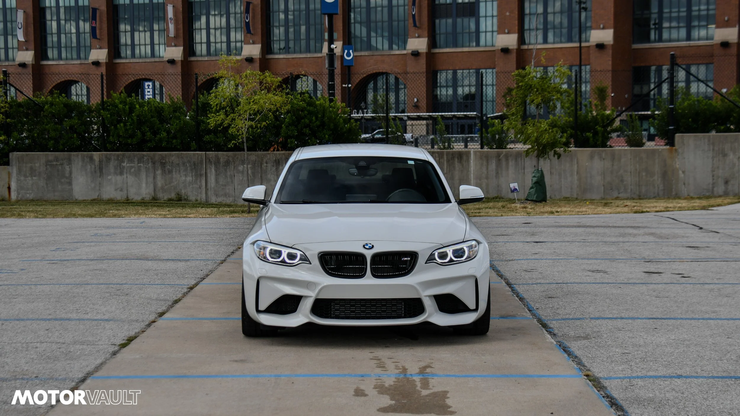 DSC_3341.jpg