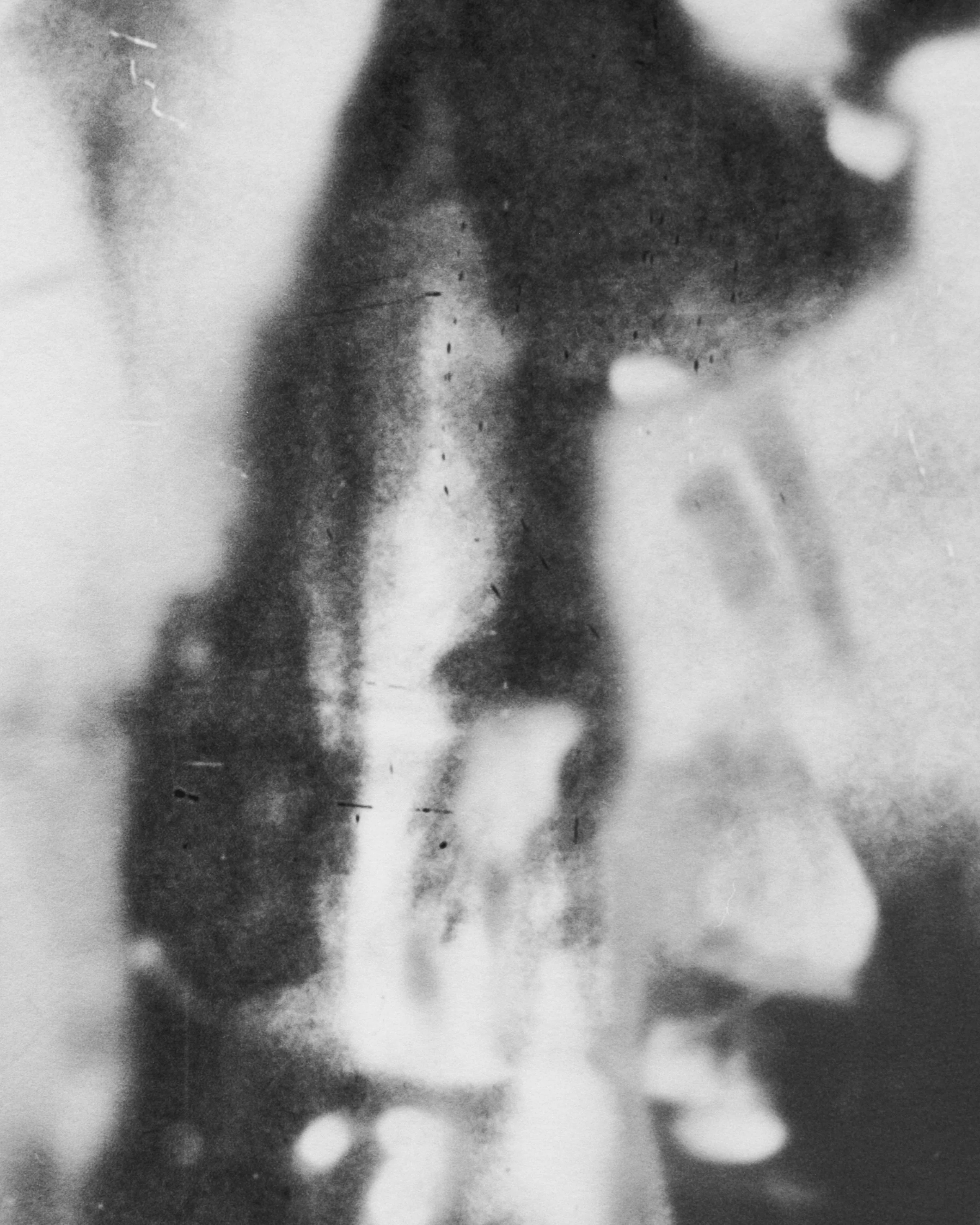  Palpitations of a mundane order  (detail)